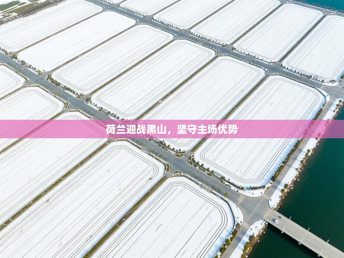 荷兰迎战黑山，坚守主场优势