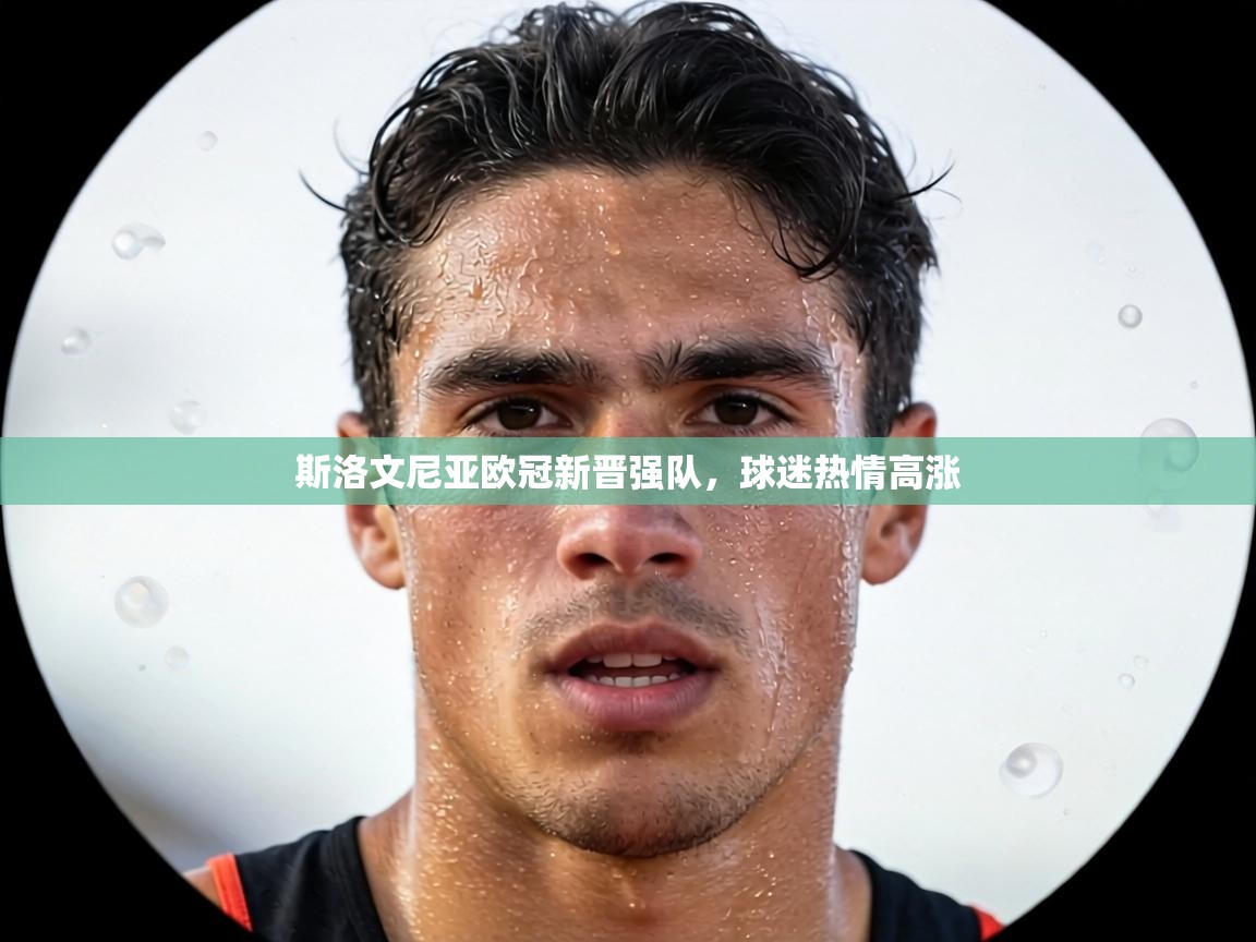 斯洛文尼亚欧冠新晋强队，球迷热情高涨