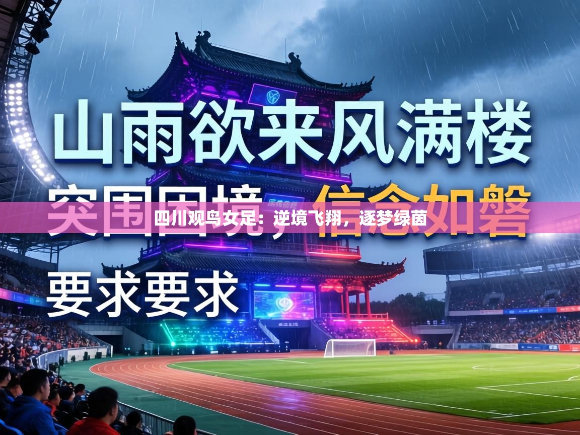 四川观鸟女足：逆境飞翔，逐梦绿茵  第1张